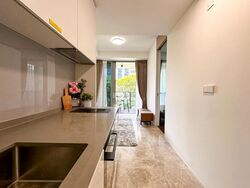 Amber Park (D15), Condominium #569719671